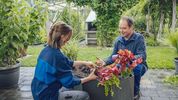 Eine Patientin und ein Gartentherapeut topfen gemeinsam Pflanzen um