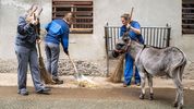 Tiertherapeutin und Patienten wischen den Stallboden, während ein Esel daneben steht und zusieht